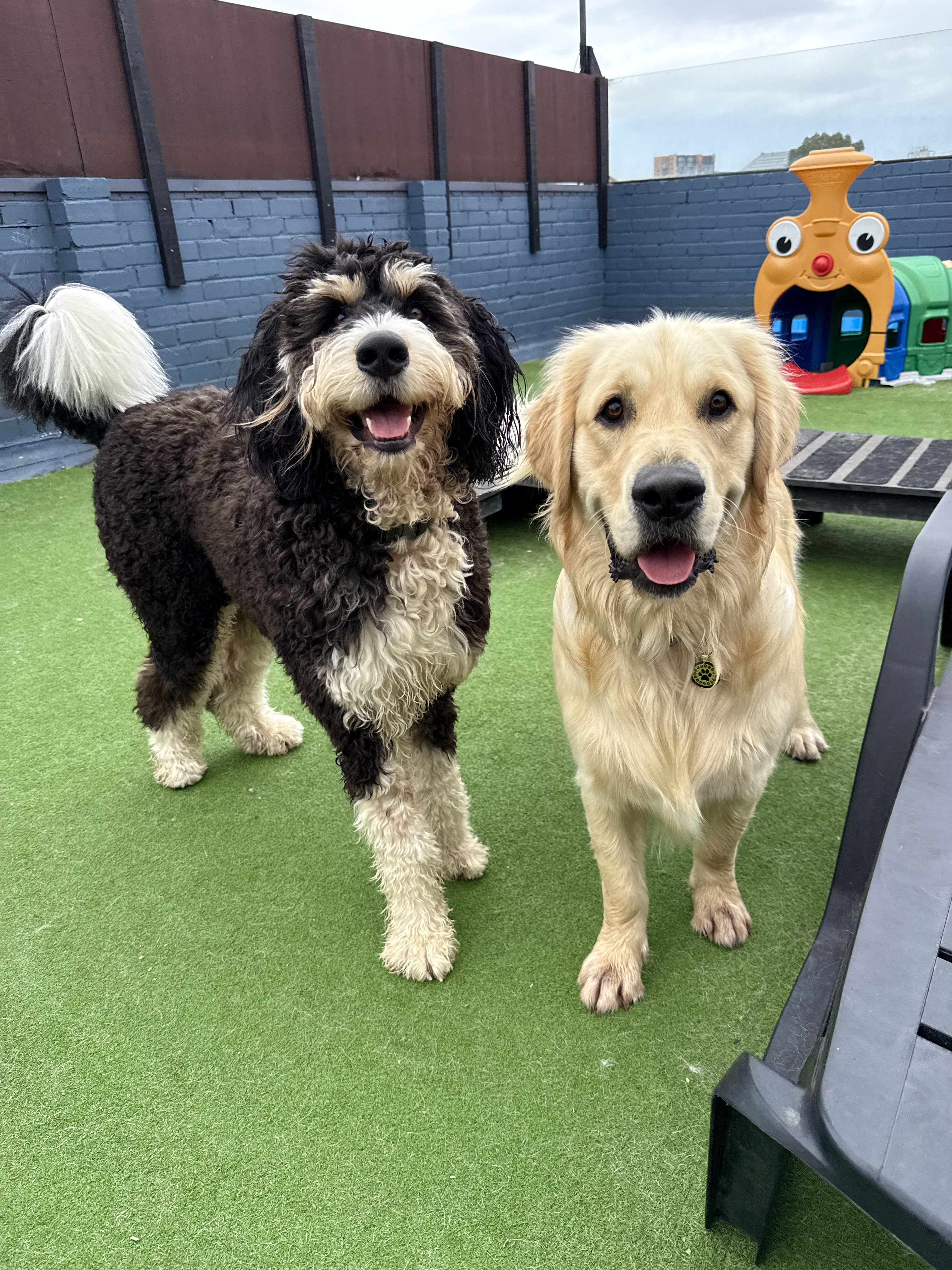 Two happy daycare friends in the Ooohh Yeah rooftop play area